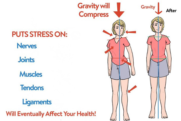 Chiropractic Norwood MA Gravity Relationship