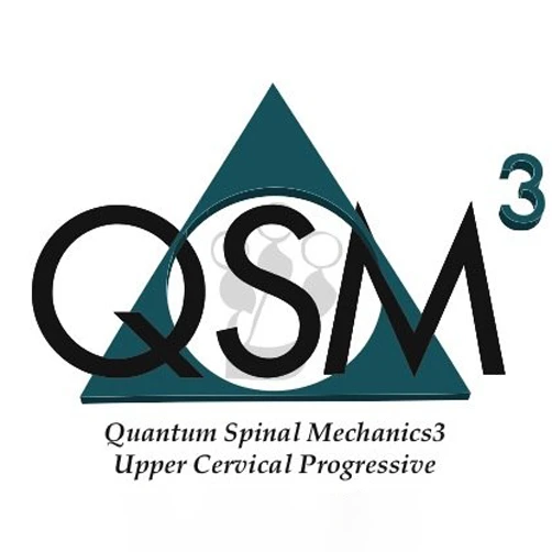 Quantum Spinal Mechanics 3 Logo